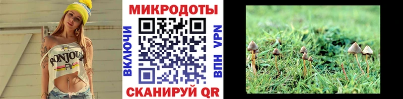 купить закладку  hydra зеркало  Галлюциногенные грибы прущие грибы  Можга 
