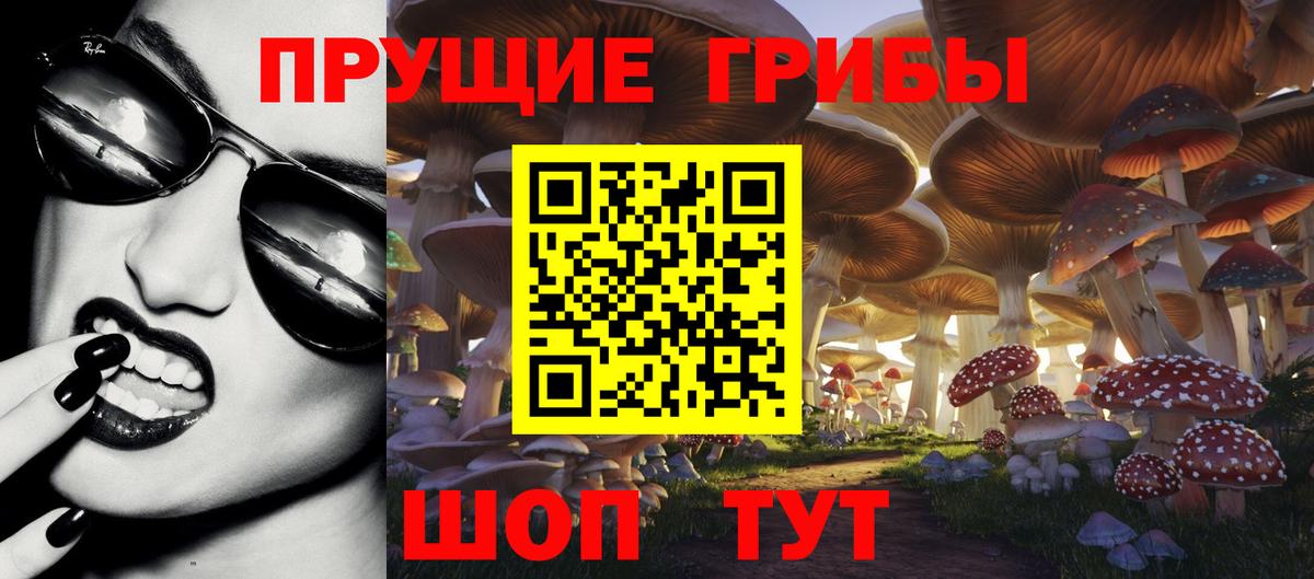Галлюциногенные грибы Cubensis  Псилоцибиновые грибы GOLDEN TEACHER  сколько стоит  Вход с VPN  Можга 