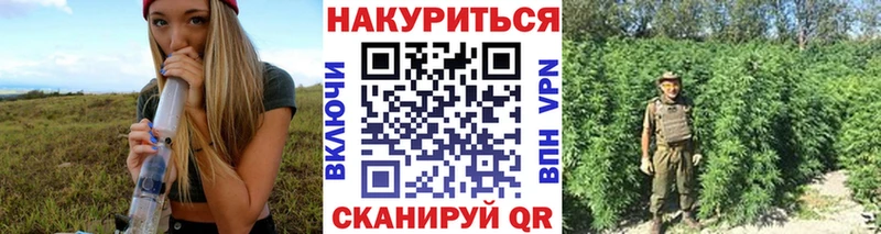 МАРИХУАНА White Widow  OMG как зайти  Можга  где найти наркотики 